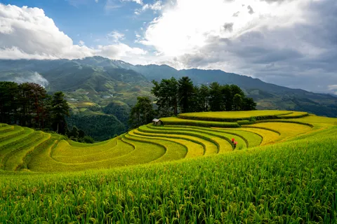 계단식 논 4K 배경화면 · nature · 3840×2561