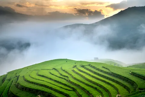 Rice Terraces 4K Wallpaper · nature · 3840×2561