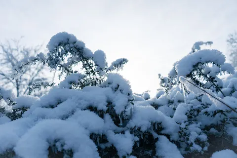 Winter Snow 4K Wallpaper · nature · 3840×2560
