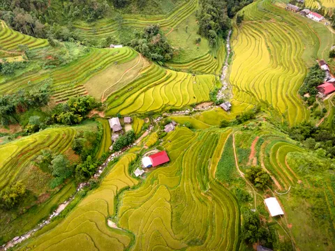 Rice Terraces 4K Wallpaper · nature · 3840×2880
