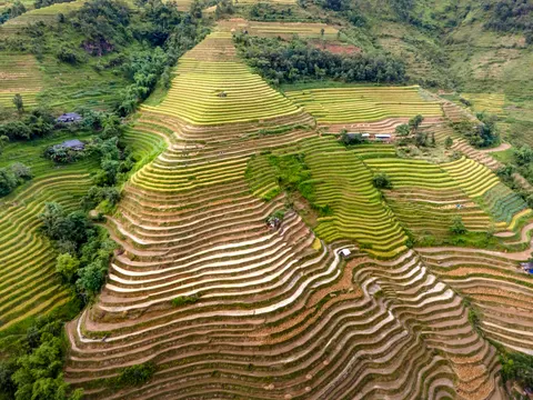 Papel de parede Terraços de arroz 4K · nature · 3840×2880