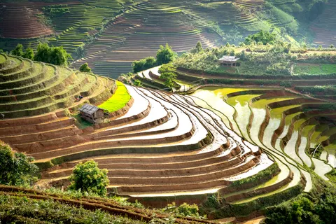 Rice Terraces 4K Wallpaper · nature · 3840×2560