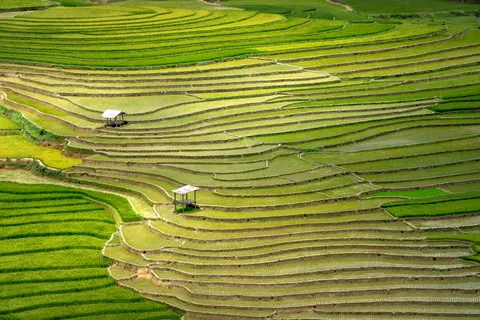 Rice Terraces 4K Wallpaper · nature · 3840×2560