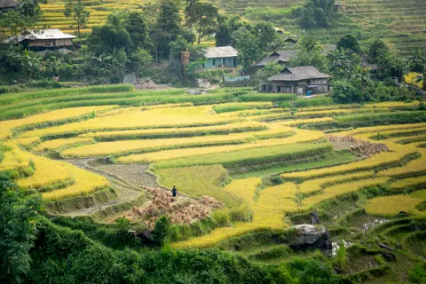 Rice Terraces 4K Wallpaper · nature · 3840×2561