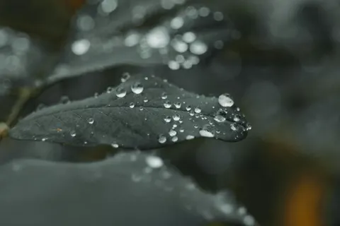 Regentropfen 4K Hintergrundbild · nature · 3840×2560