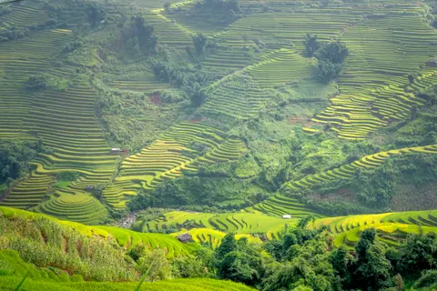 Rice Terraces 4K Wallpaper · nature · 3840×2560