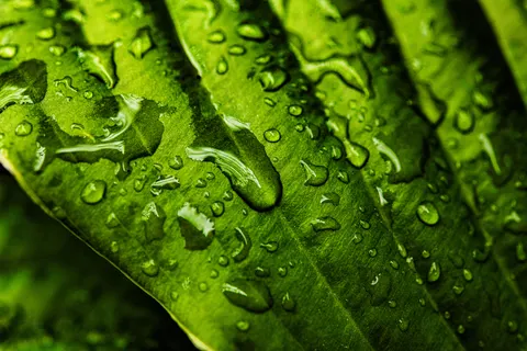 빗방울 4K 배경화면 · nature · 3840×2560