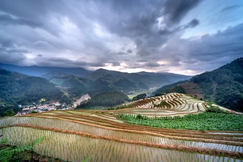 Fondo de pantalla Terrazas de arroz 4K · nature · 3840×2560