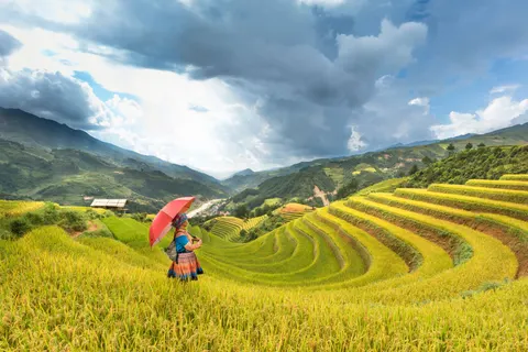 Rice Terraces 4K Wallpaper · nature · 3840×2561