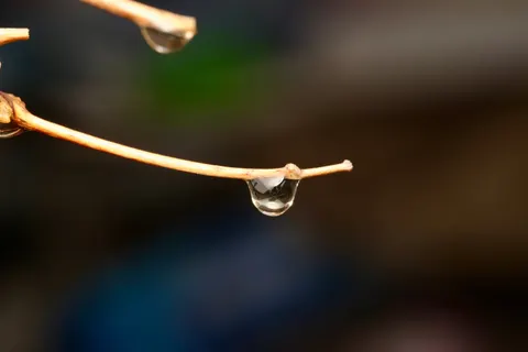 Fond d'écran Gouttes de pluie 4K · nature · 3840×2560