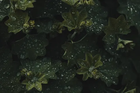 Regentropfen 4K Hintergrundbild · nature · 3840×2560