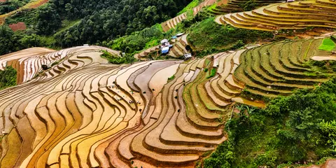 Rice Terraces 4K Wallpaper · nature · 3840×1920