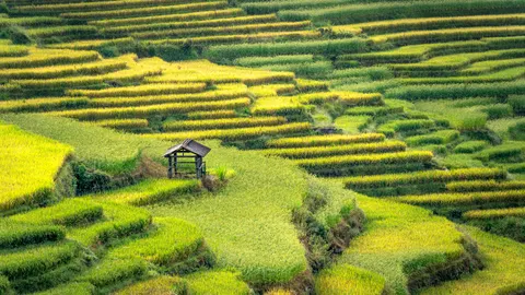 계단식 논 4K 배경화면 · nature · 3840×2155