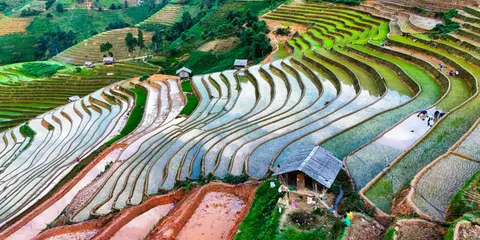 Rice Terraces 4K Wallpaper · nature · 3840×1920
