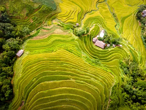 Fond d'écran Rizières en terrasses 4K · nature · 3840×2880