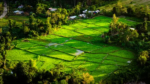 Rice Terraces 4K Wallpaper · nature · 3840×2160