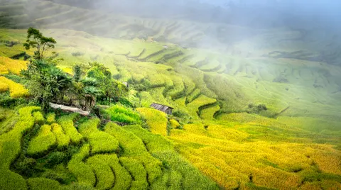 Rice Terraces 4K Wallpaper · nature · 3840×2144