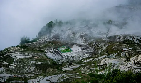 계단식 논 4K 배경화면 · nature · 3840×2250