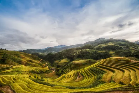 Fondo de pantalla Terrazas de arroz 4K · nature · 3840×2563