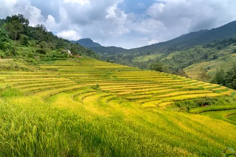 Rice Terraces 4K Wallpaper · nature · 3840×2561