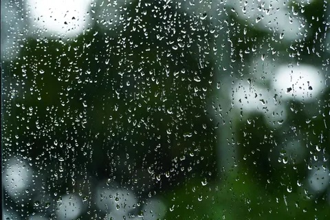雨滴 4K壁纸 · nature · 3840×2560