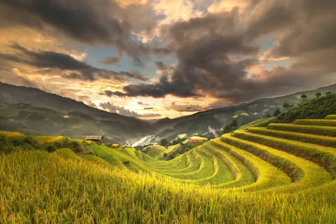 계단식 논 4K 배경화면 · nature · 3840×2561