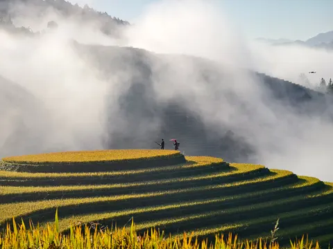 계단식 논 4K 배경화면 · nature · 3840×2880