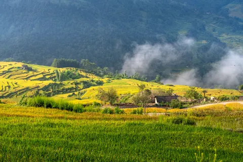 Rice Terraces 4K Wallpaper · nature · 3840×2561