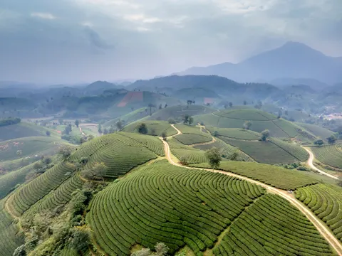 Fond d'écran Collines vertes 4K · nature · 3840×2880