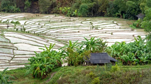 Rice Terraces 4K Wallpaper · nature · 3840×2152