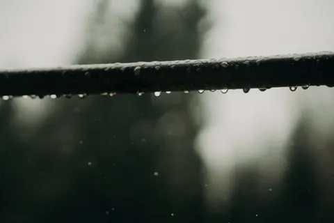Rain Drops 4K Wallpaper · nature · 3840×2560