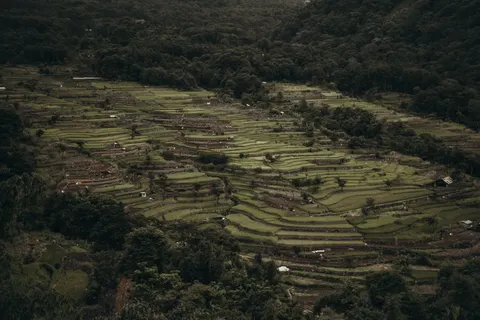 Rice Terraces 4K Wallpaper · nature · 3840×2560