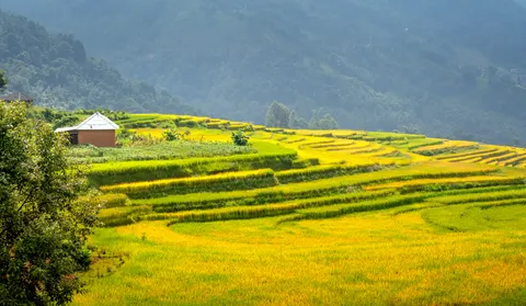 Rice Terraces 4K Wallpaper · nature · 3840×2233
