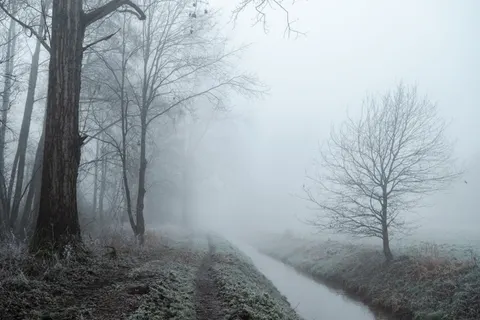 Fondo de pantalla Carretera con niebla 4K · nature · 3840×2560