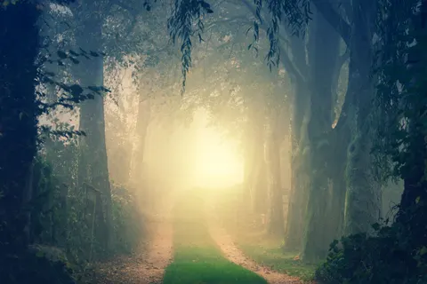 Foggy Road 4K Wallpaper · nature · 3840×2560