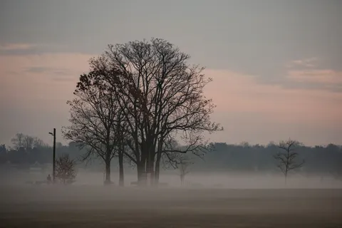 Foggy Road 4K Wallpaper · nature · 3840×2560