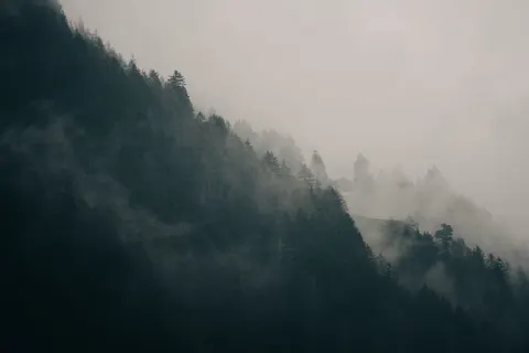Foggy Road 4K Wallpaper · nature · 3840×2560