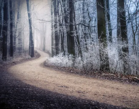 Foggy Road 4K Wallpaper · nature · 3840×3026