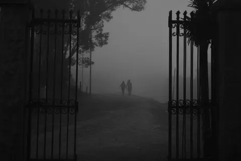 Fondo de pantalla Carretera con niebla 4K · nature · 3840×2560