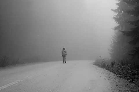 Fond d'écran Route brumeuse 4K · nature · 3840×2560