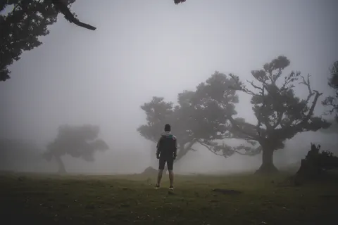 안개 낀 도로 4K 배경화면 · nature · 3840×2560