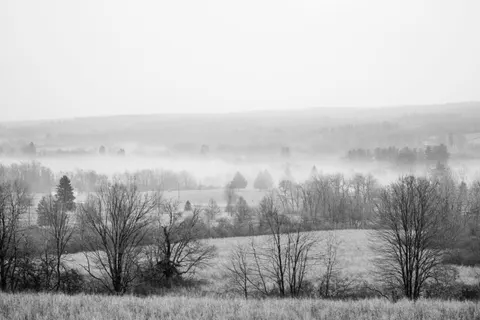 Foggy Road 4K Wallpaper · nature · 3840×2560