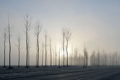 안개 낀 도로 4K 배경화면 · nature · 3840×2560