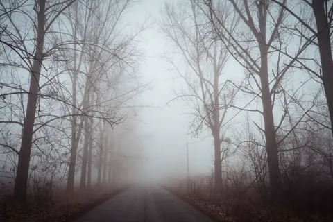 Foggy Road 4K Wallpaper · nature · 3840×2560