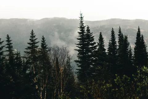 Neblige Straße 4K Hintergrundbild · nature · 3840×2560