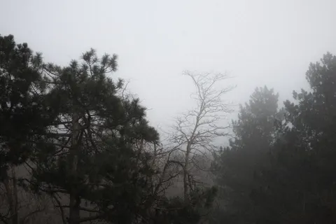 Foggy Road 4K Wallpaper · nature · 3840×2560