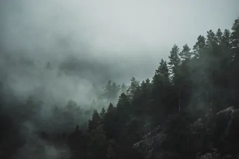 Foggy Road 4K Wallpaper · nature · 3840×2560