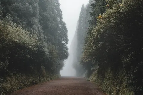 Fondo de pantalla Carretera con niebla 4K · nature · 3840×2560