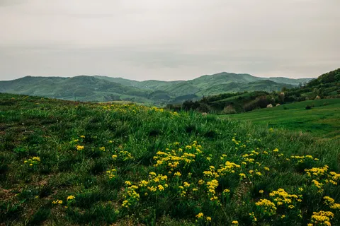绿色丘陵 4K壁纸 · nature · 3840×2560