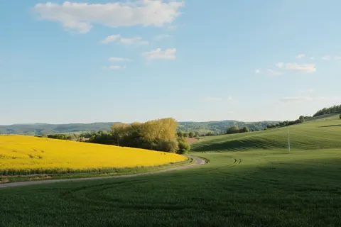 초록 언덕 4K 배경화면 · nature · 3840×2560